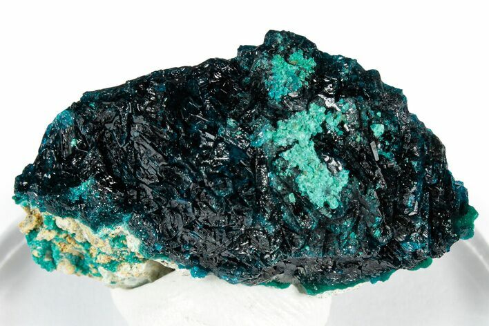 Vibrant Blue Veszelyite Cluster with Zincolibethenite - Congo #351587